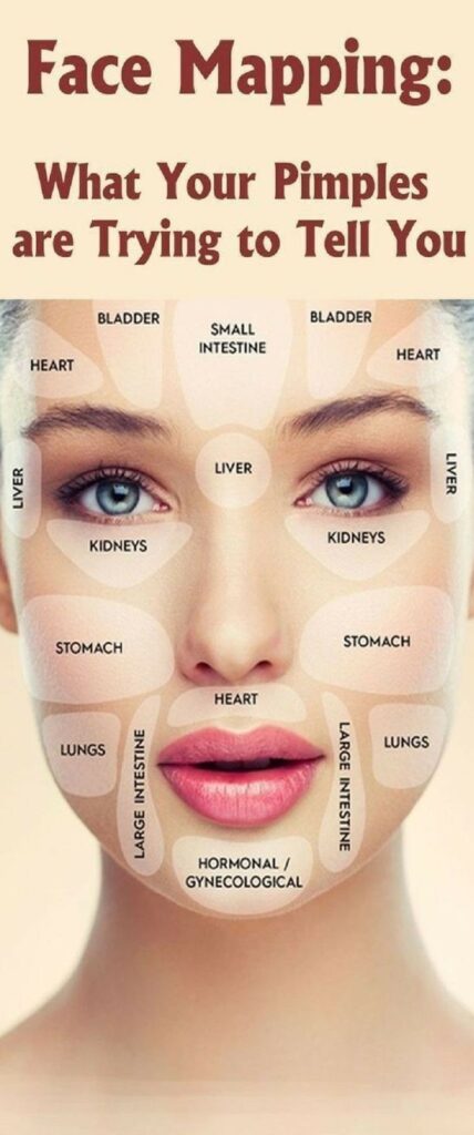 Why am I breaking out? Chinese Face Mapping – The Holistic Skin