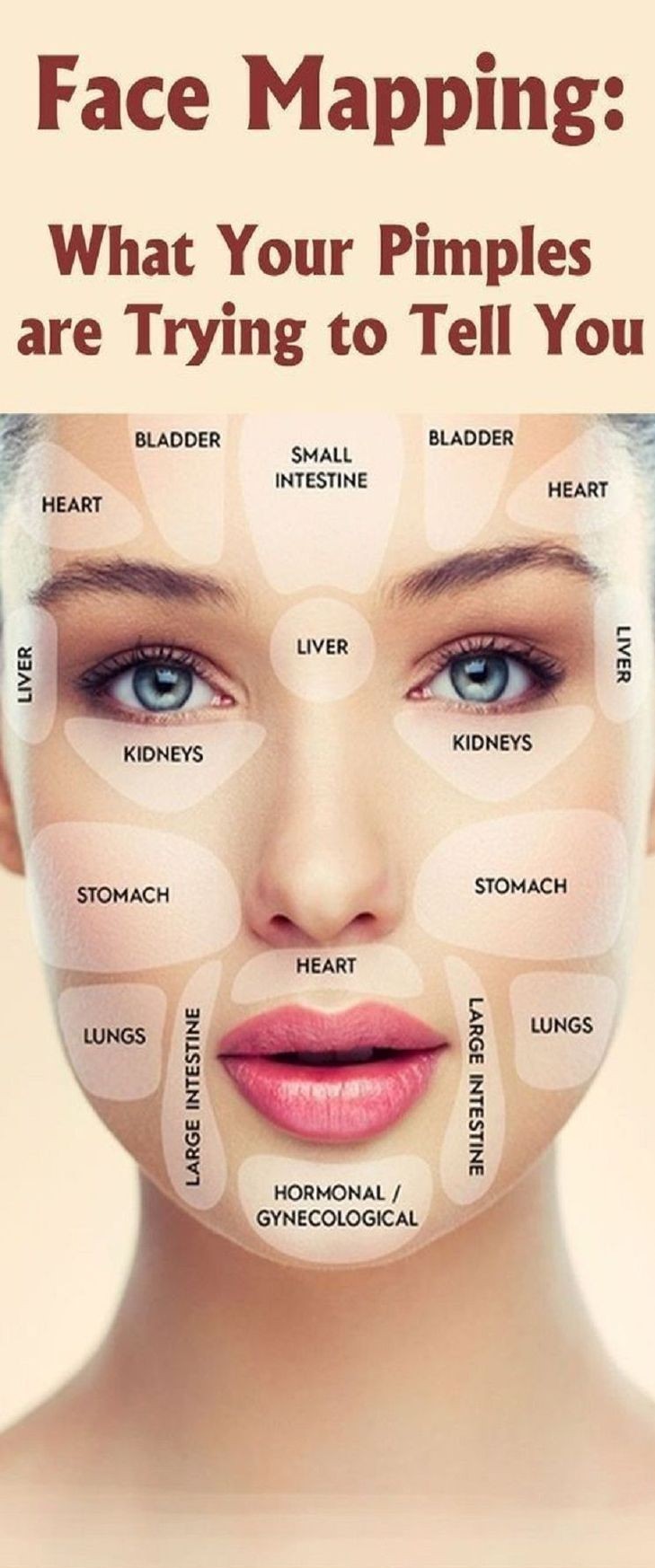 From your forehead to chin - what your SPOTS reveal about your