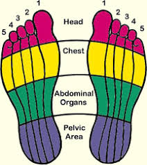 Reflexology & Zone Therapy - Holistic Training Courses | Holistic ...